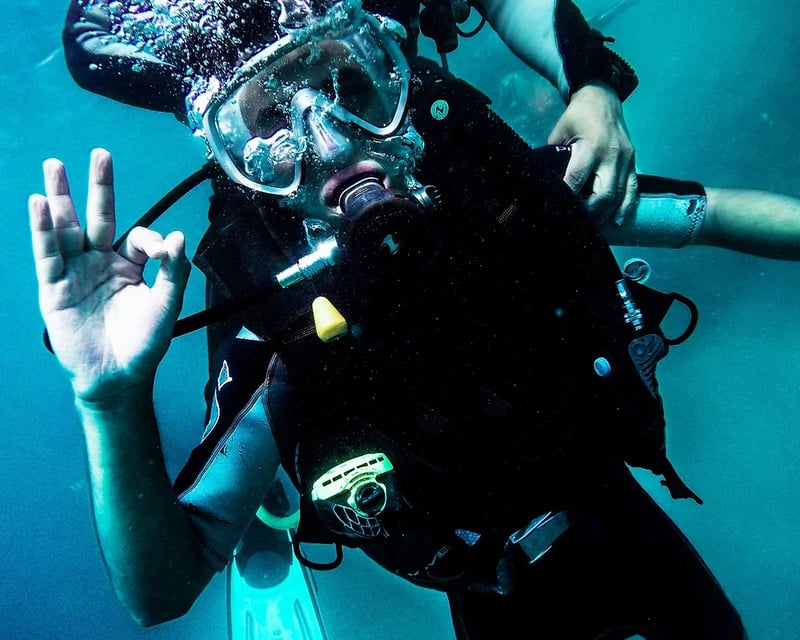 3-Hour Guided Dive in North Florida Springs