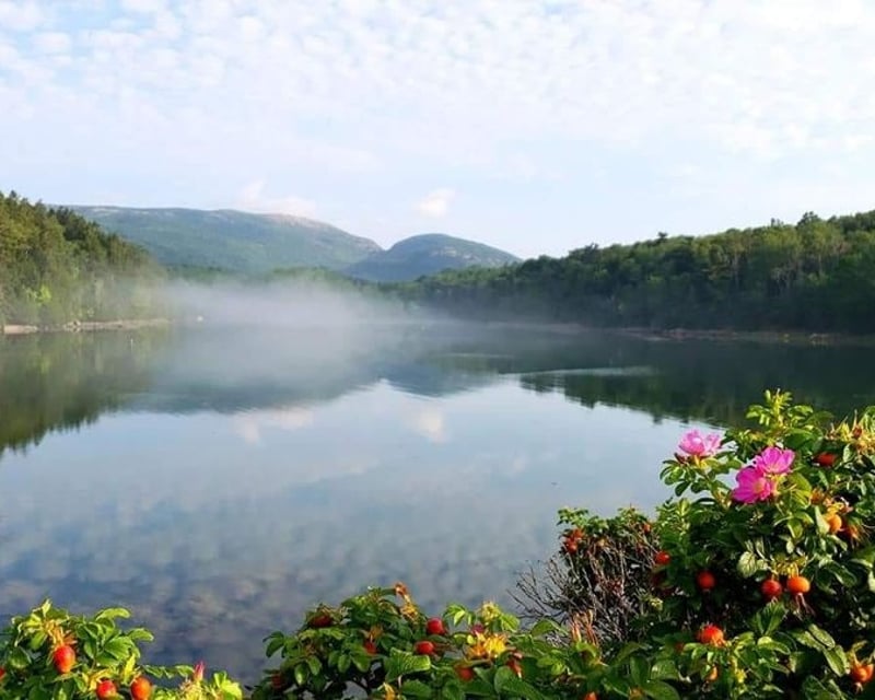 Private Acadia National Park & Cadillac Mountain Tour