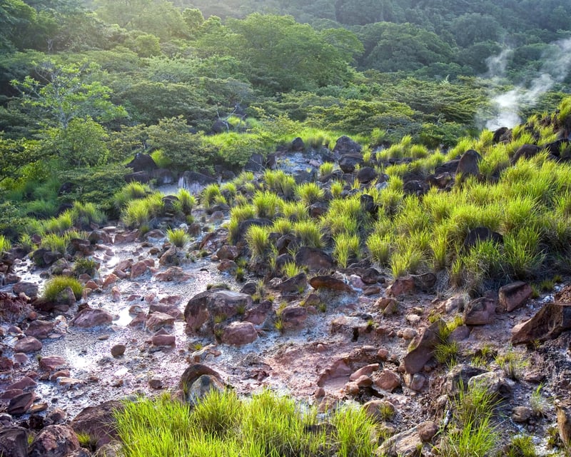 Rincón de la Vieja Horseback Ride, Hike & Waterfall Swim