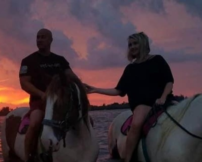 Bradenton Sunset Horseback Swim