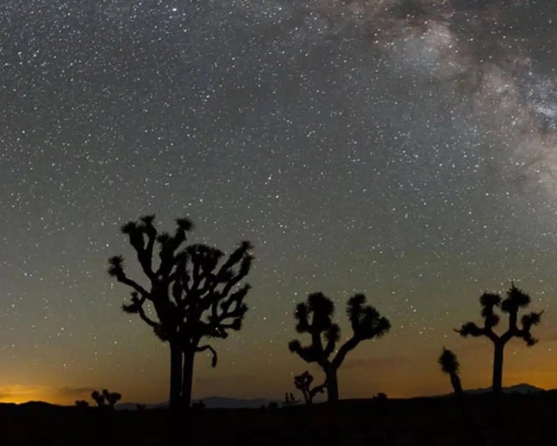 Sunset Stargazing Guided Tour in Joshua Tree