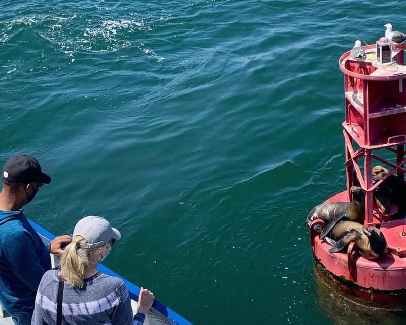 Port of Los Angeles Narrated Harbor Cruise