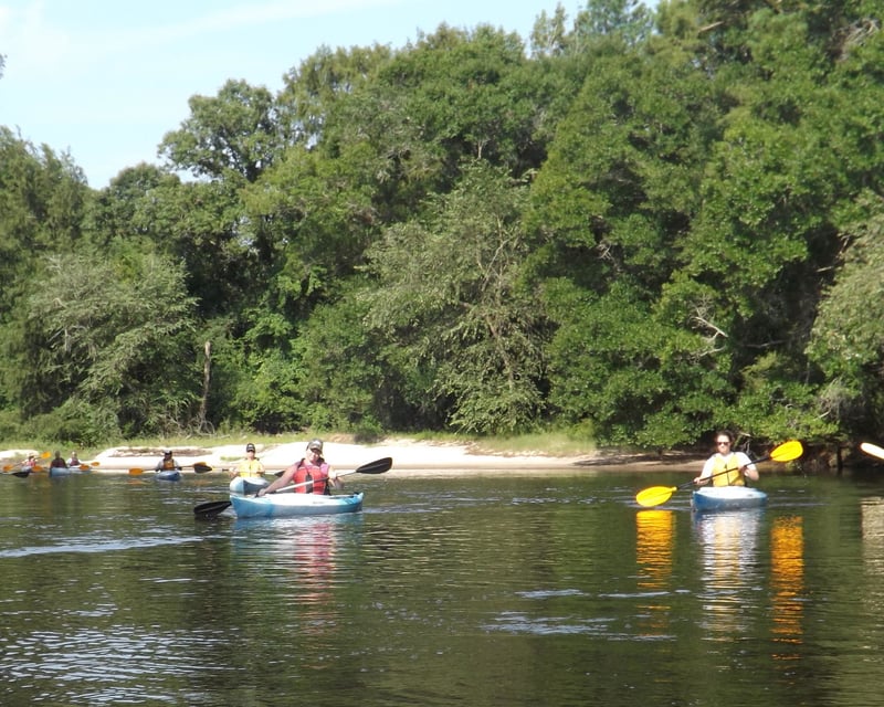 8-Mile Blackwater Swamp Kayak Trip on the Black River