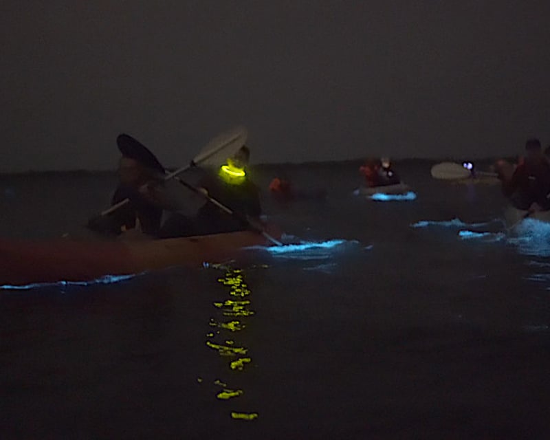 Bioluminescent Clear Kayak Tour in Mosquito Lagoon