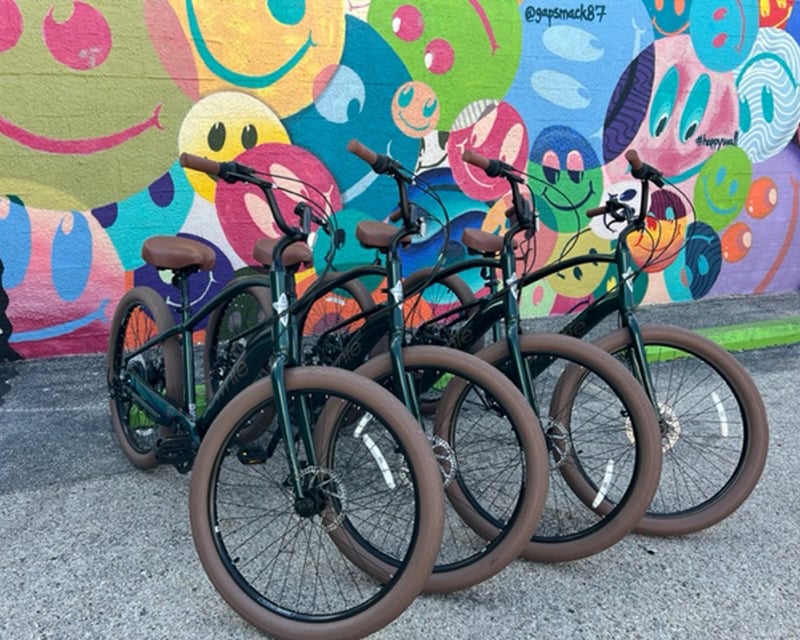 Full-Day E-Bike Cruiser Rental in Galveston
