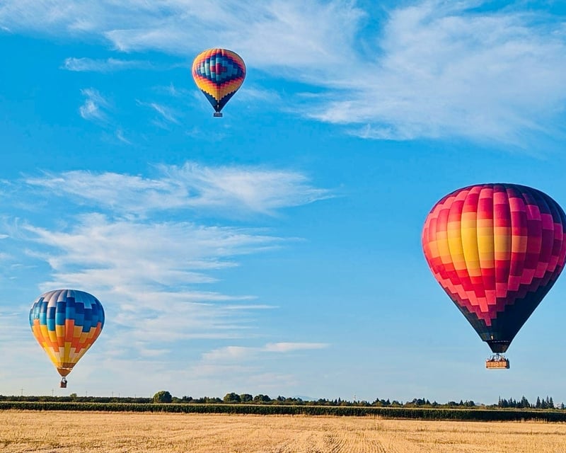 Sonoma Valley Hot Air Balloon at Sunrise