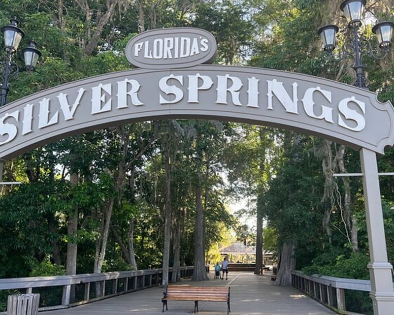 Silver Springs State Park Day Trip From Orlando