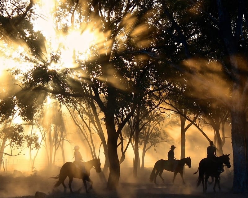 Sonoma Vineyard Horseback Ride