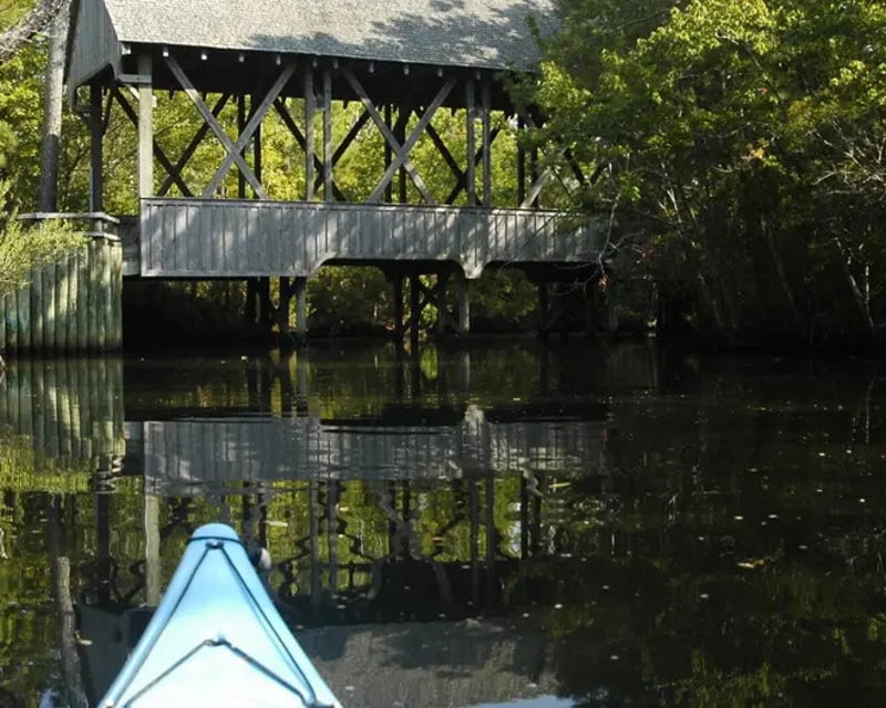 Guided Maritime Forest Kayak Tour in Kitty Hawk
