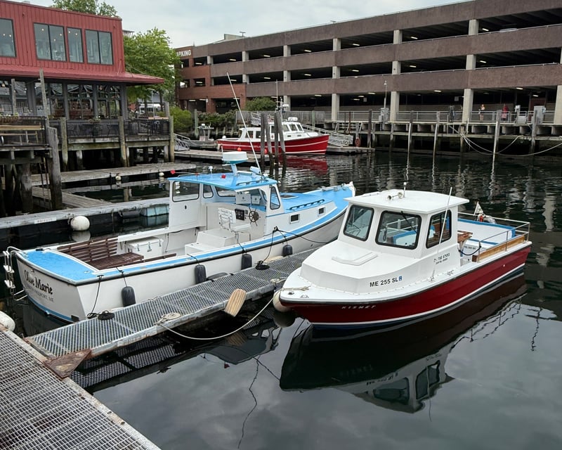 Cruise Casco Bay From Portland on a 1.5-Hour Charter