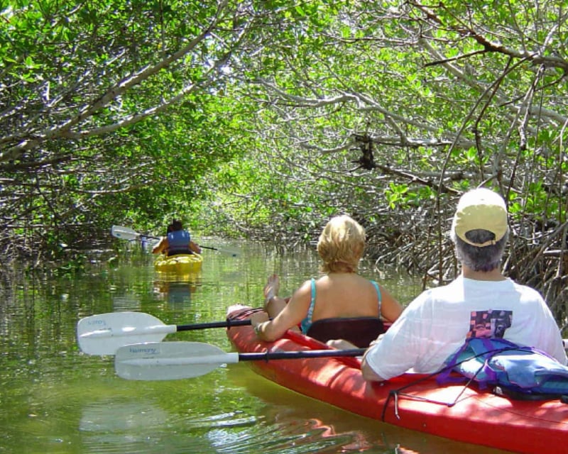 Paddle a 2-Hour Key West Kayak Eco Tour