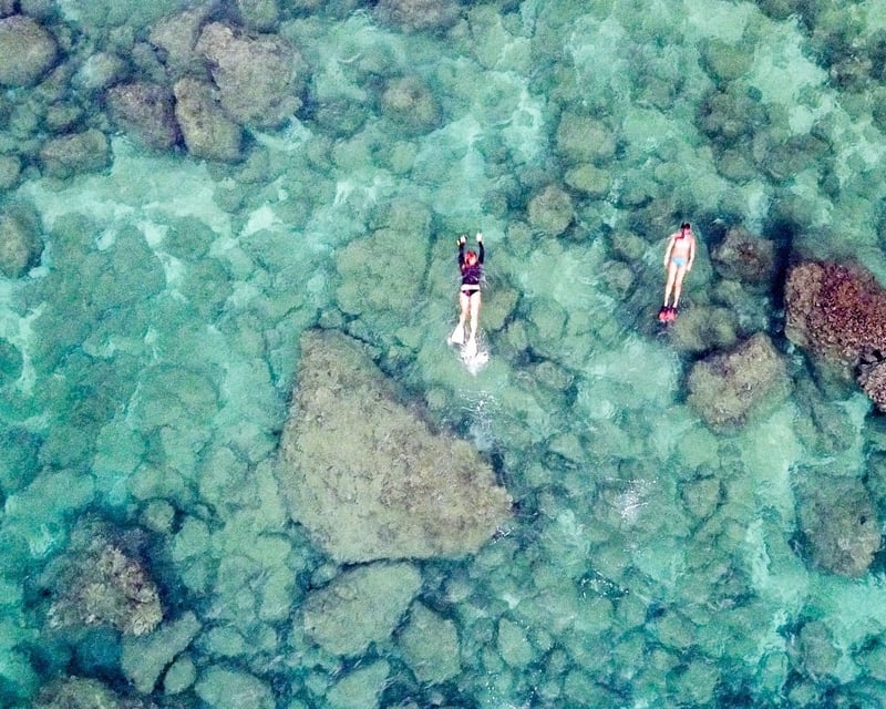 Sharks Cove Self-Guided Snorkel Rental