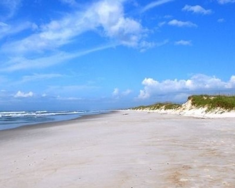 Private Wassaw Island Beach & Shelling Trip from Savannah
