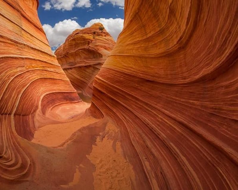 Coyote Buttes North Photography Tour