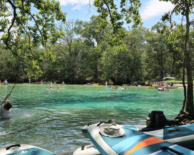 Guided Paddleboard Tour of Cypress Springs