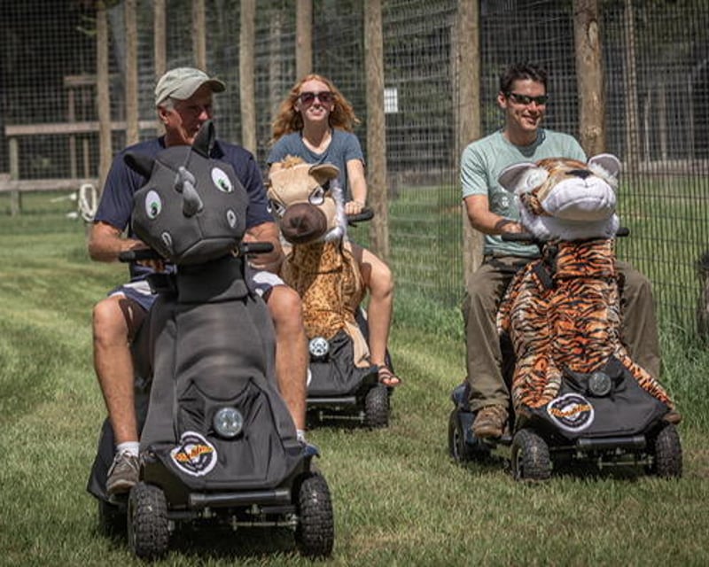 Private Wildlife Tour in Gainesville