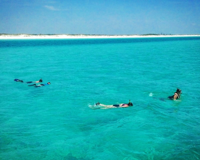 Private Dolphin & Shell Island Tour in Panama City