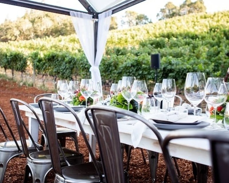 Chauffeured Napa & Sonoma Wine Tour in Your Own Car