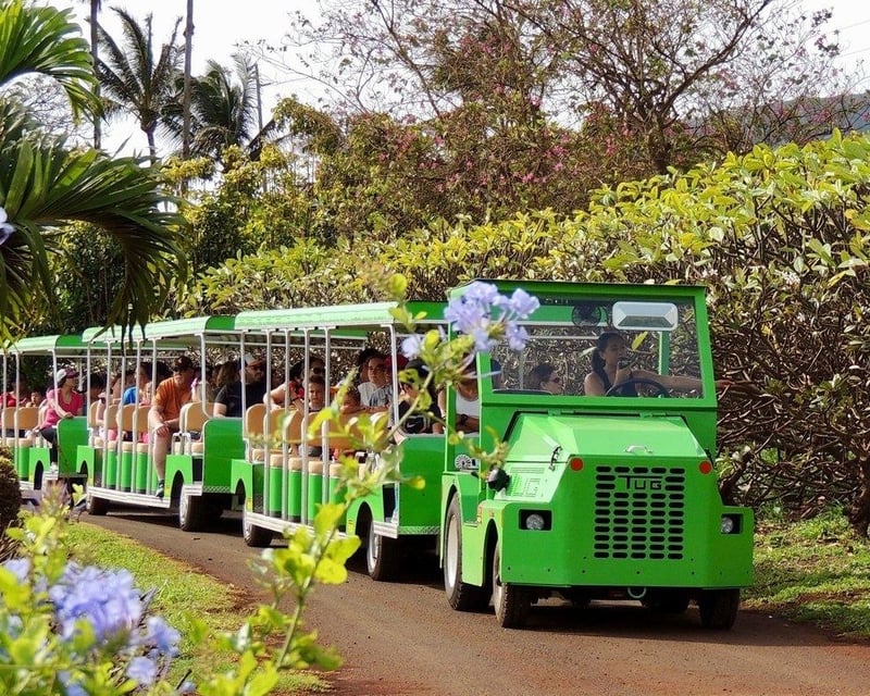 Maui Plantation Tour with Coconut Husking Demo