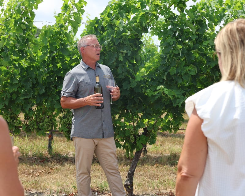 Vineyard & Winery Tour With 8-Wine Tasting Near Cape May