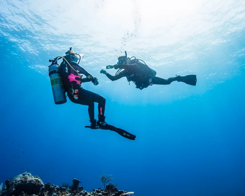 PADI ReActivate Scuba Refresher Course in Ala