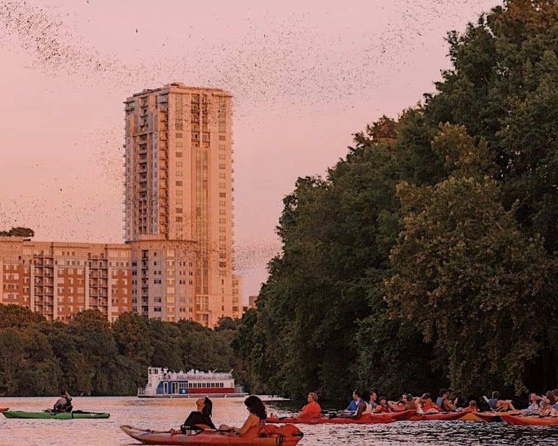 Sunset Bat Watching Tour in Austin