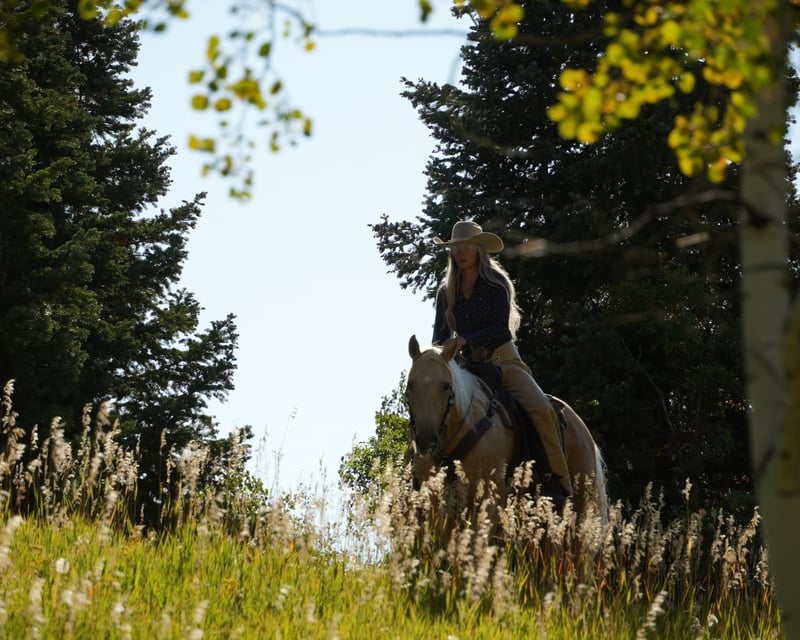Stewart Falls Private Horseback Ride