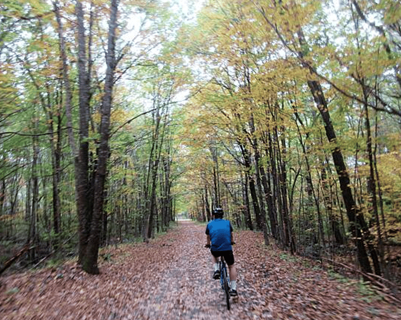Fall Foliage E-Bike Tour to Great Bay Wildlife Refuge