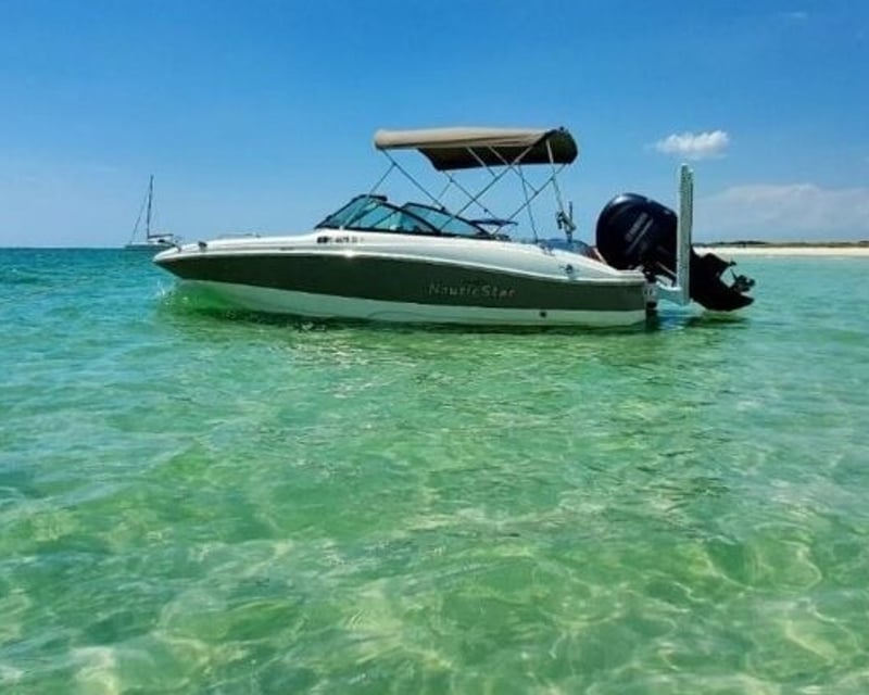 Explore Naples Backwaters on a 8-Hour Private Charter