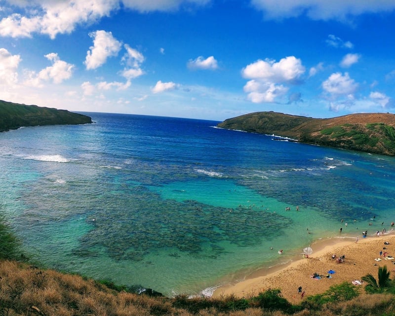 Private Hanauma Bay Snorkeling Tour with Japanese Guide