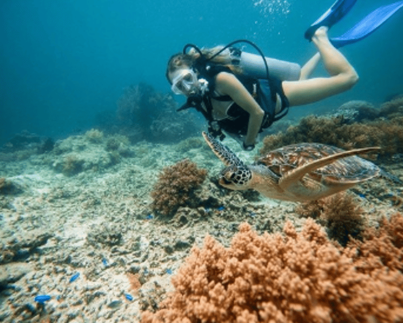 Morning 2-Tank Scuba Dive in Kailua-Kona