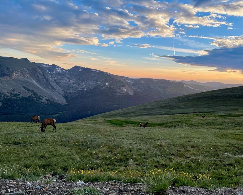 Open-Top Jeep Tour of Rocky Mountain National Park