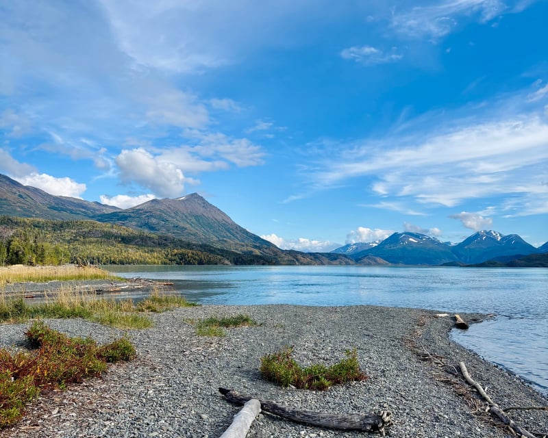 Private Tonsina Beach Rainforest Hike in Seward, Alaska