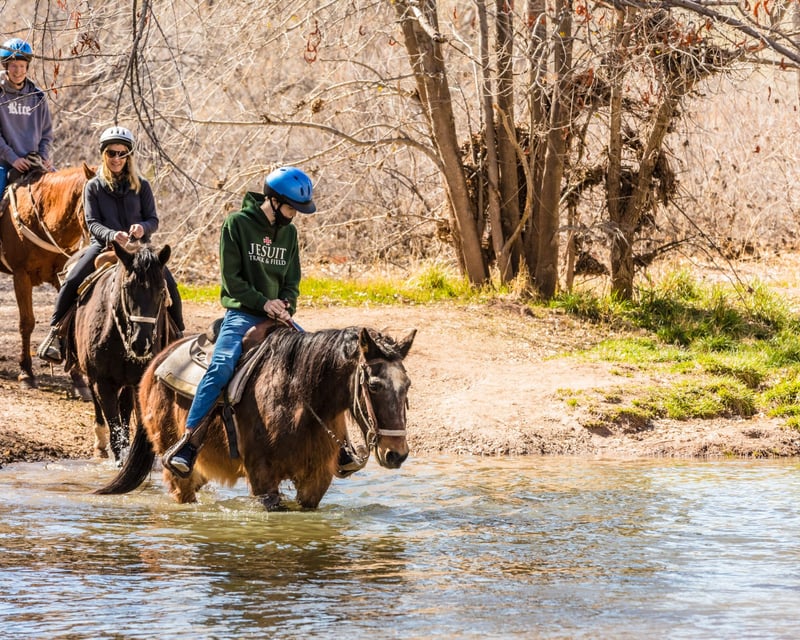 Ride an Outlaw Trail Horseback Tour in Cottonwood