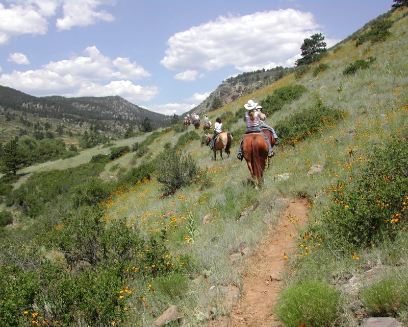 Loveland 1-Hour Guided Horseback Trail Ride