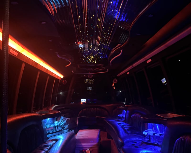 24-Passenger Party Bus Rental in Austin