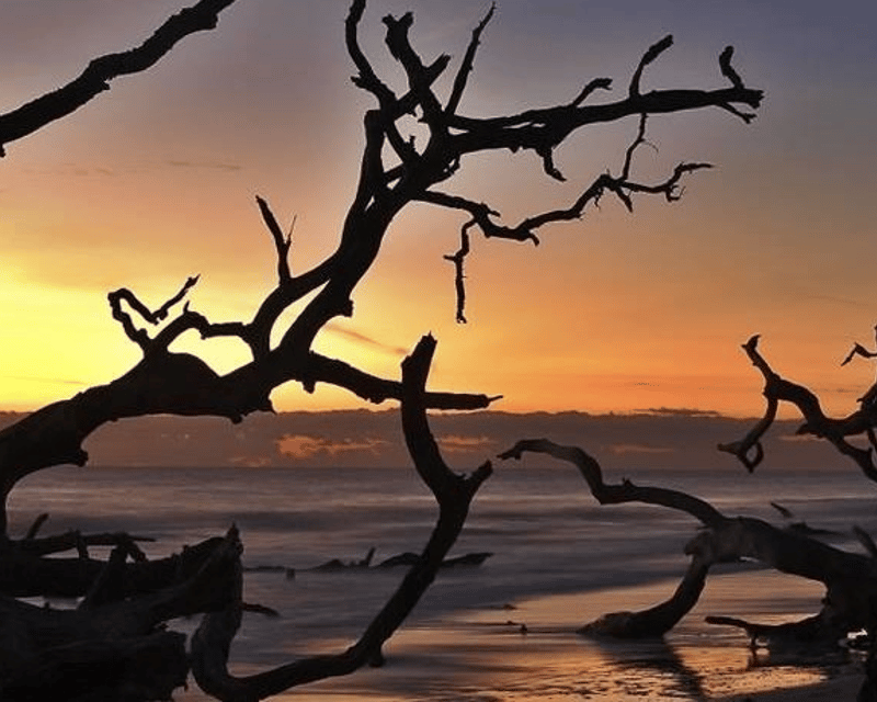 Sunset Horseback Ride on Jekyll Island