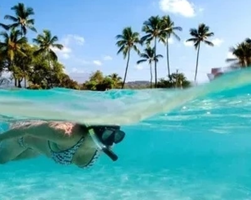 Private Sandbar & Snorkeling Boat Charter in Venice