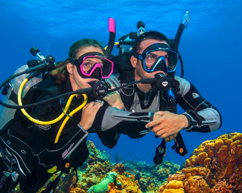 2-Tank Wreck & Reef Scuba Dive in Miami