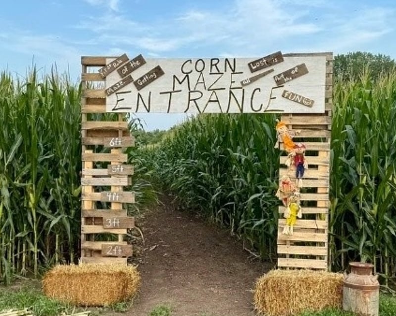 Corn Maze at Applewood Orchard in Lakeville