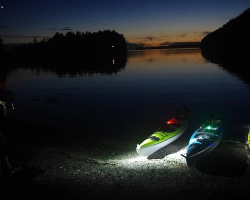 Bellingham Bioluminescence Kayak Tour