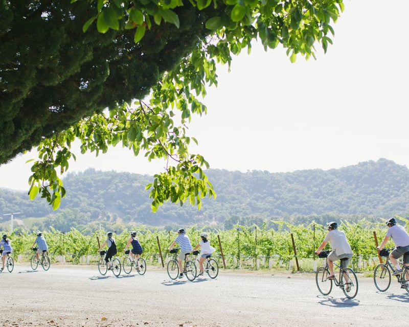 Half-Day Napa Valley E-Bike Tour with Winery Visit