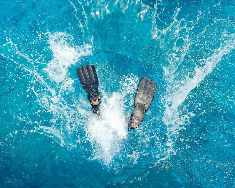 2-Tank Scuba Dive & Snorkel Catamaran Trip in Key Largo