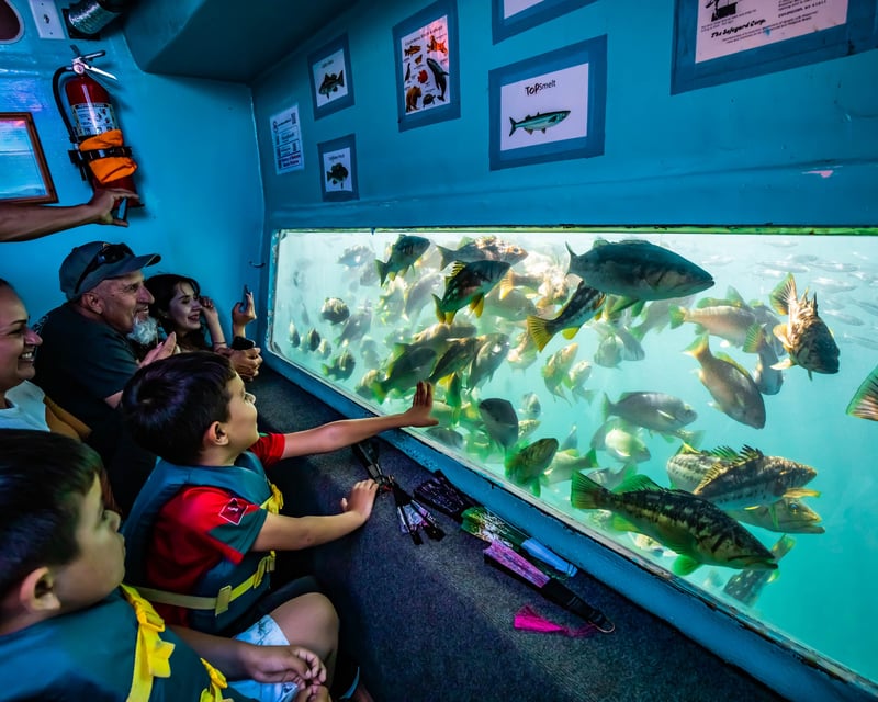 Redondo Beach Glass Bottom Boat Tour
