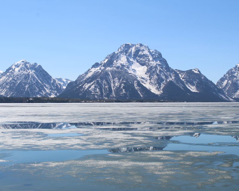 Grand Teton National Park Half-Day Wildlife Tour