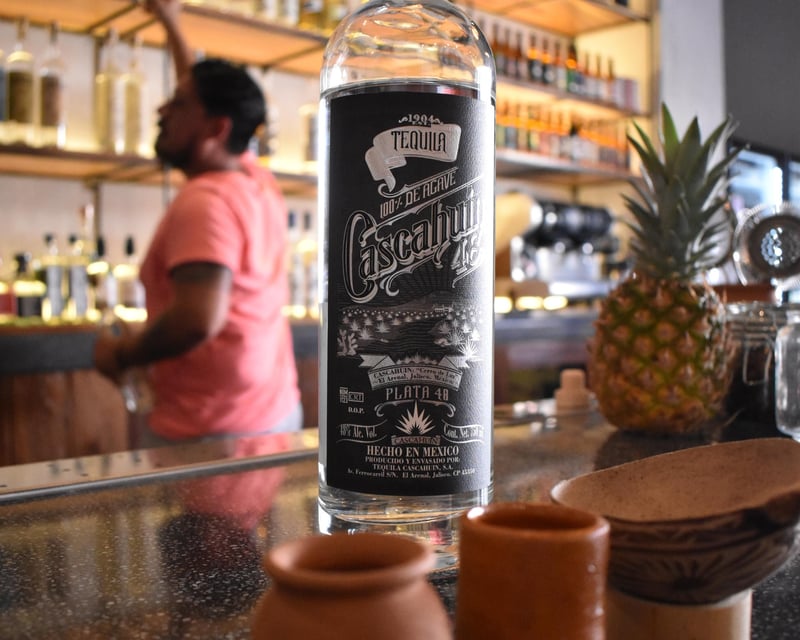 Puerto Vallarta Tequila Tasting