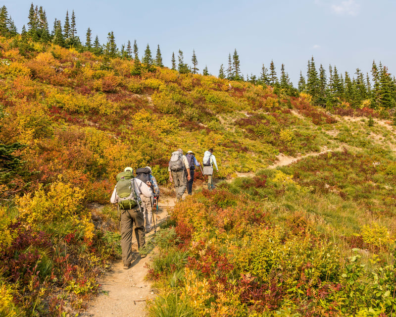 Guided Firebrand Pass Hike in Glacier National Park