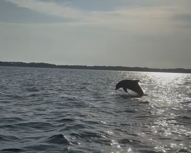 3-Hour Bay Cruise in Santa Rosa Beach