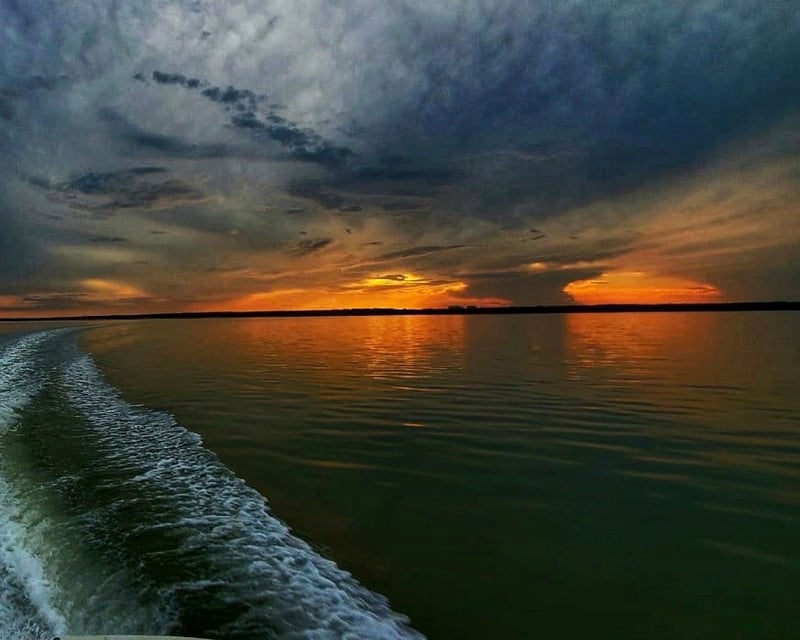 Private Marco Island Sunset & Dolphin Boat Tour