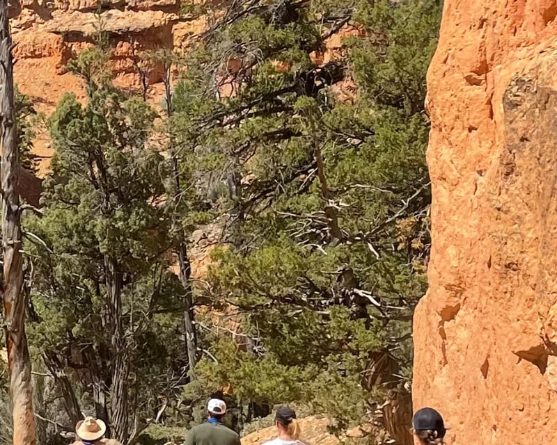 3-Hour Horseback Ride in Red Canyon